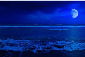 水瓶座の上弦の月