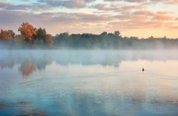 魚座の上弦の月