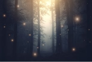 獅子座の下弦の月