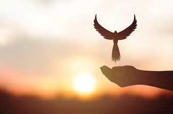 手放しと再出発の象徴