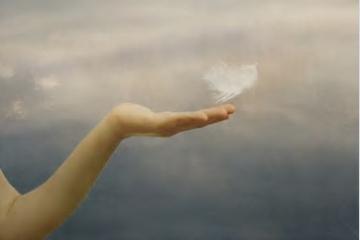 安定と手放しの象徴