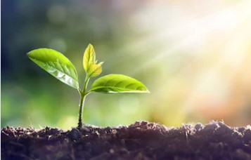 牡牛座の上弦の月