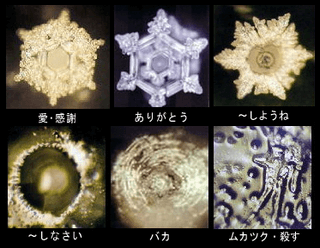 言霊と氷の実験