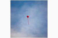 手放した先にしか、軽くなれない荷物がある